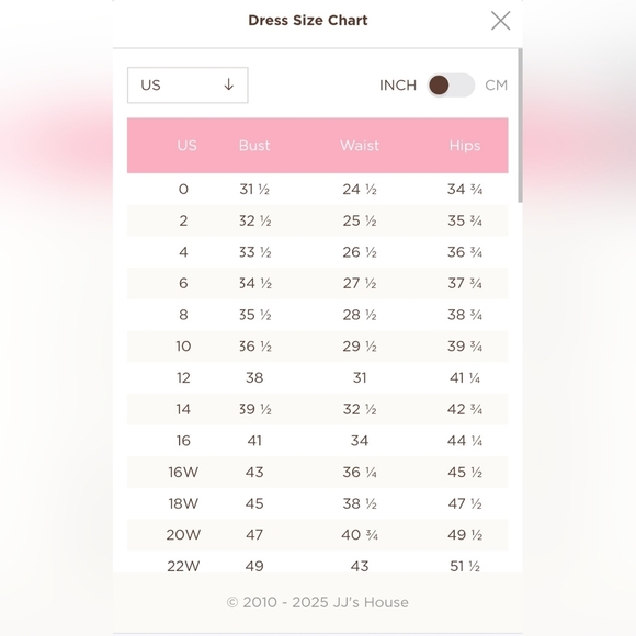 NWT JJ's House Black A-Line V-neck Chiffon Ruffle Dress Zip Womens Size 22 - Picture 12 of 13